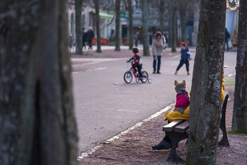 un chien assis sur un banc regarde des enfants faisant du vélo