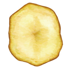 水彩風のじゃがいもの断面のイラスト