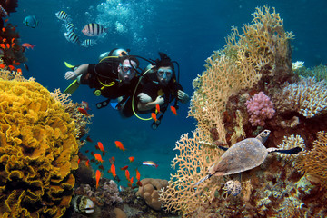 The loving couple dives among corals and fishes in the ocean - 323186626