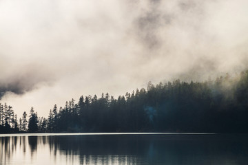 Fototapeta na wymiar Silhouettes of pointy tree tops on hillside along mountain lake in dense fog. Reflex of pines to calm water of highland lake. Alpine tranquil landscape at early morning. Ghostly atmospheric scenery.