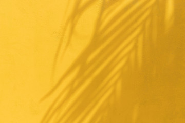 Exotic tropical palm branches on brigth yellow background