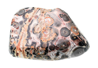 leopard skin jasper (jaguar stone) gem cutout