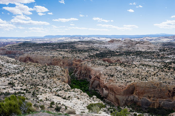 Naklejka premium View of the Calf Creek Canyon from the Calf Creek Viewpoint along highway 12 - Grand Staircase - Escalante National Monument in Utah, USA