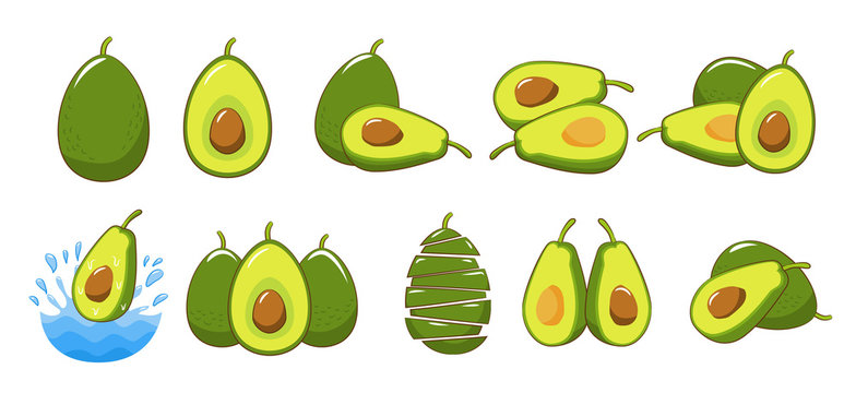 Avocado Vector Set Collection Graphic Clipart Design