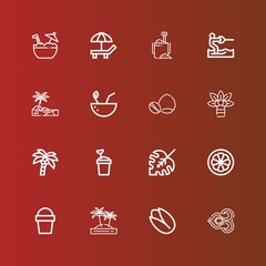 Editable 16 coconut icons for web and mobile