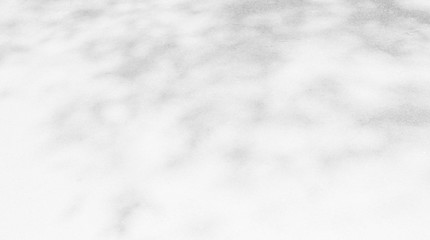 Obraz premium Abstract Shadows, blurred background of gray leaves and natural trees that reflect concrete walls, fallen branches on white wall surfaces for blurred backgrounds and black and white wallpapers.