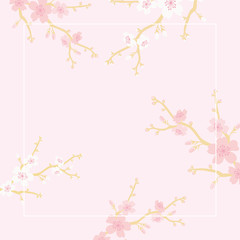 Vector cherry blossoms background illustration