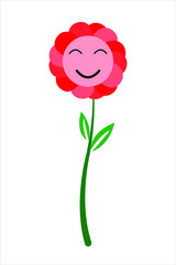 Face of pink tone face flower smiling isolated on white background.