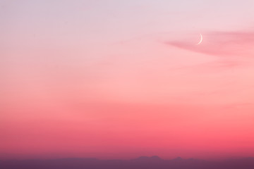 pink moon in the sunset sky over the forest