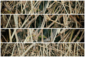 pile of cut branches texture background, a bunch of grunge concept of ecology to design and print
