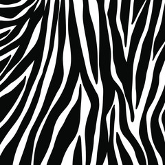 zebra seamless pattern