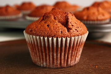 Chocolate Muffin. Freshly Baked.