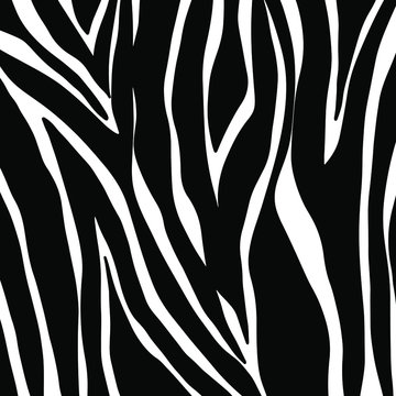 zebra seamless pattern