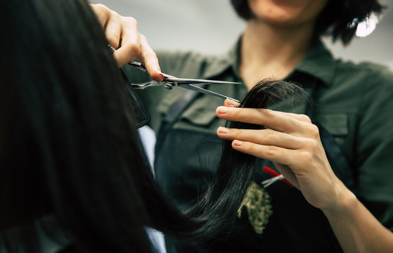 Trimming process. Close up photo of a hairdresser cutting ends of girl’s hair with scissors in a beauty salon.