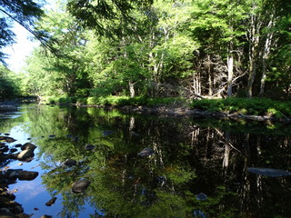 North America, Canada, Province of Nova Scotia, Kejimkujik National Park