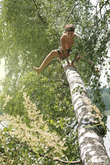 A tanned boy of 12 years old is sitting on a birch trunk that has fallen. Russian