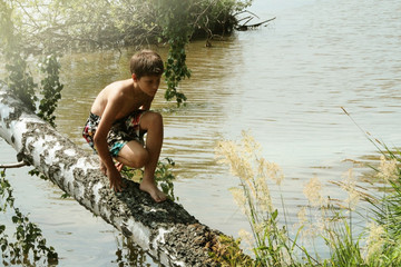 A tanned boy of 12 years old on a birch trunk that fell. Russian