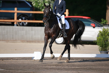 Dressage horse with rider in a gallop at a tournament..