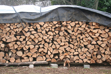 Large log store filled with firewood in the garden ready for winter season. Woodpile on outdoors