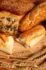 Assorted Rolls and Bread