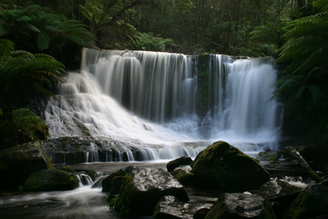 Horseshoe Waterfall Tasmania. Rainforest long exposure shot of pristine falls.