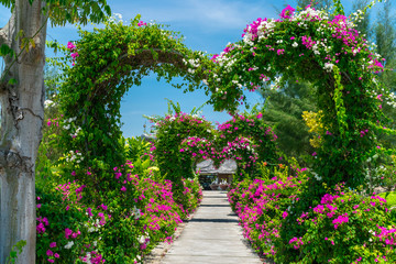 Fototapeta na wymiar Heart-shaped arch in tunnel with pink flowers in park in tropics under sunlight