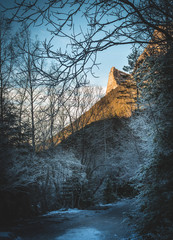 Mountain framed with tree on snow