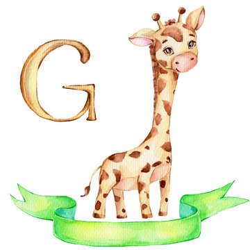 Cute Little Giraffe And Green Ribbon And Letter 