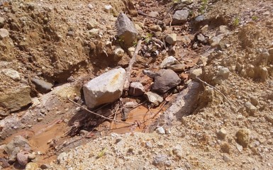 Soil heave near the road