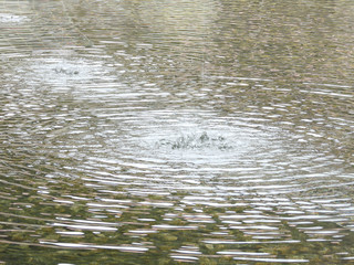 大きな水面の波紋