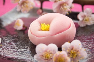 梅の花の練り切り（和菓子、日本の伝統菓子）と紅梅、2月の梅の季節。