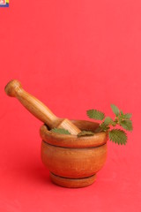 plant used for nettle medicine in color background