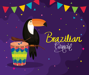 poster of brazilian carnival with toucan and drum