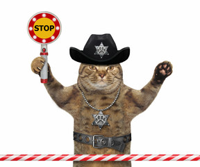 The beige cat policeman is wearing in a black cowboy hat, a police badge around his neck and a...