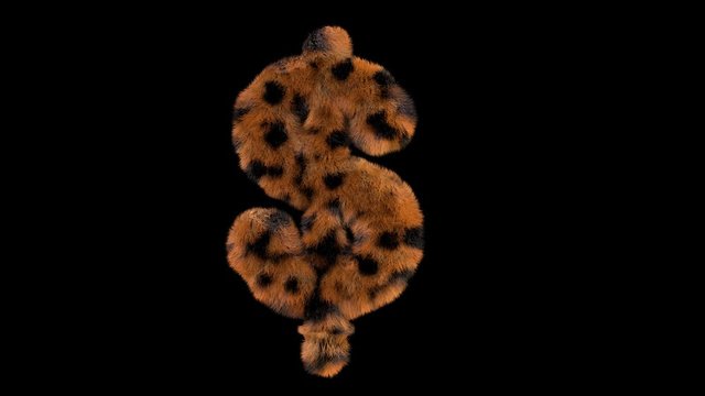 3D animated furry hairy zoo leopard text typeface with alpha channel  usd