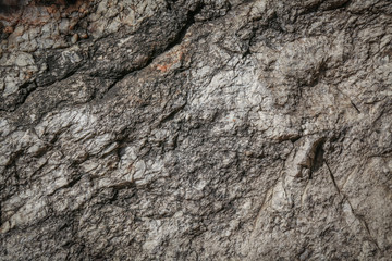 Stone texture and background Abstract for designing beautiful tex