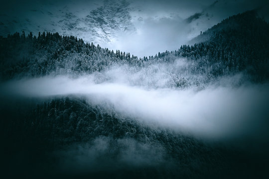 Misty mountains landscape with fir forest in hipster vintage abstract retro style © Andy Shell