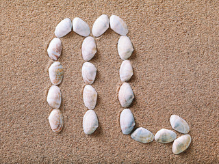 Scorpio Zodiac sign made of seashells on sand background