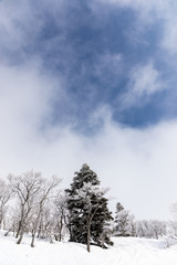 森吉阿仁スキー場