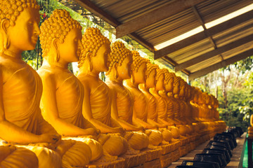 Obraz premium A long line of golden statues of the Buddha at Buddhist temple in Thailand, a portrait of side view.