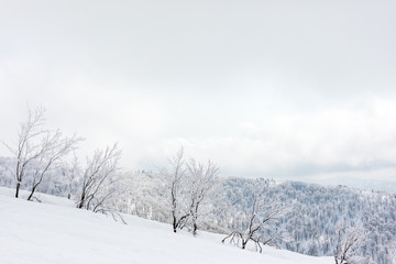 森吉阿仁スキー場