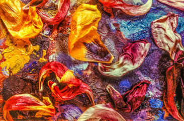 Tulip petals on painting palette