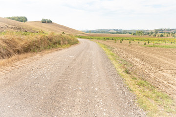 Fototapeta na wymiar a gravel road through agricultural fields next to Lucignano D'Arbia (Monteroni d'Arbia), province of Siena, Tuscany, Italy