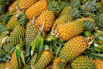 Pineapples in the Polonnaruwa market in Polonnaruwa, Sri Lanka.