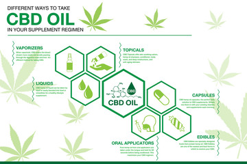 CBD hemp oil in your supplement regimen Infographics. info poster, brochure cover template layout with flat design icons, other elements.