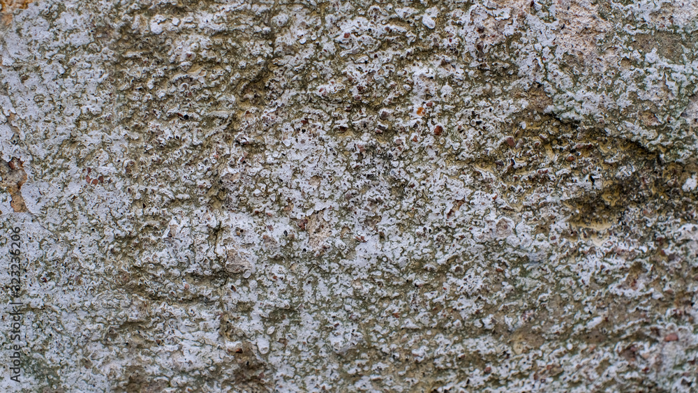 Aufkleber gray concrete surface with texture. background for the designer