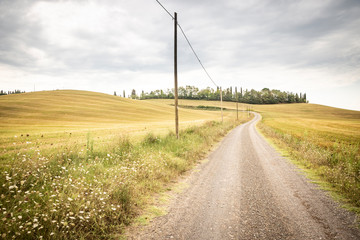 Fototapeta na wymiar a gravel road through agricultural fields next to Ponte D'Arbia (Monteroni d'Arbia), province of Siena, Tuscany, Italy