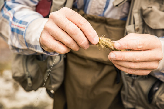 Close-up of fly fisherman holding a fly. Red Lodge, Montana, USA