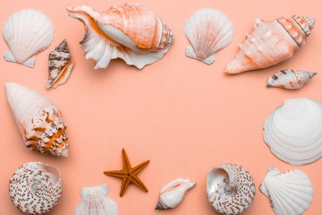 Summer time concept with sea shells and starfish on trendy orange pastel color background, copy...