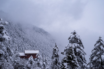 Fototapeta premium snow covered mountainside and building